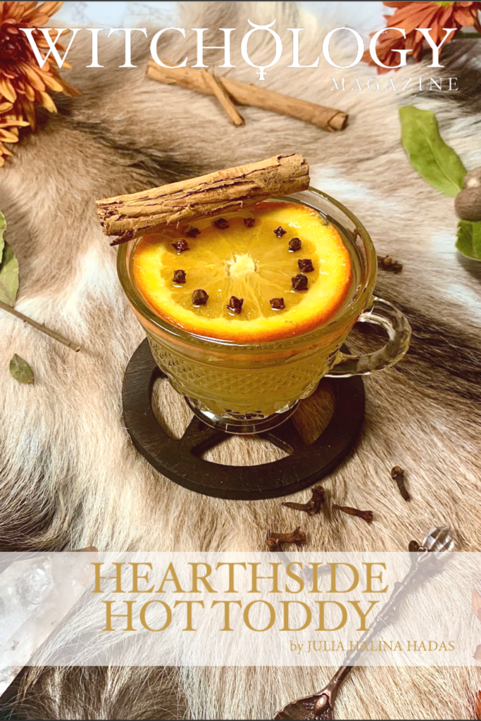 Yule Drinks_ hearthside hot toddy